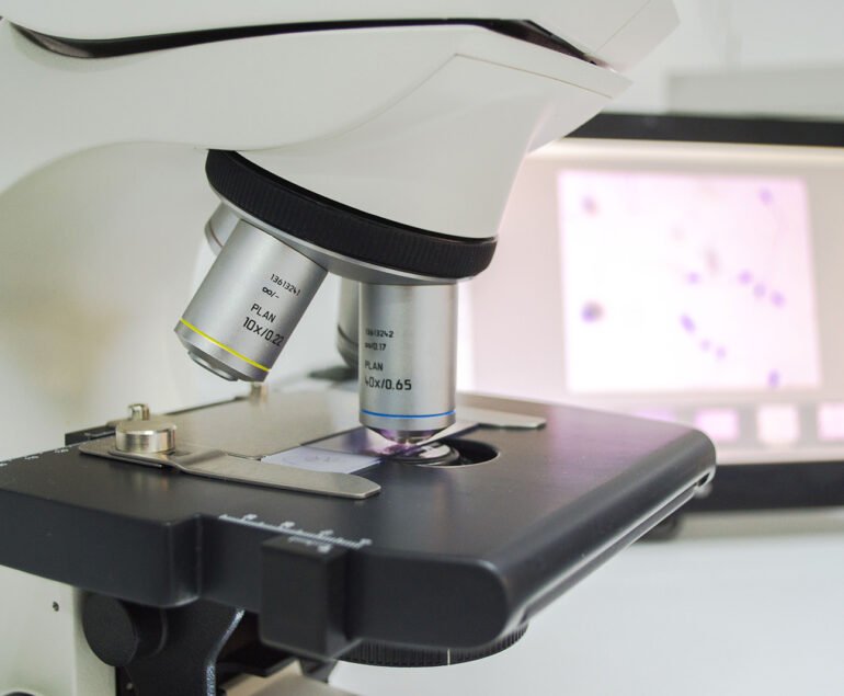 Andrologia Laboratorio Biofertility